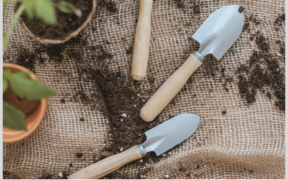 How to Start a Native Plant Garden