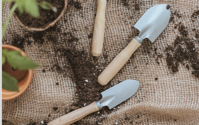How to Start a Native Plant Garden